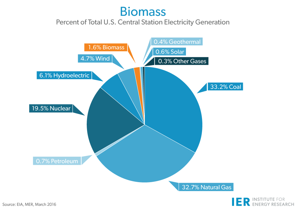 What is biomass fuel, and what it is used for?