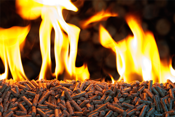 America’s Newest Energy Export: Wood Pellets? - IER