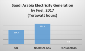 Saudi Arabia Halts $200 Billion Solar Project - IER